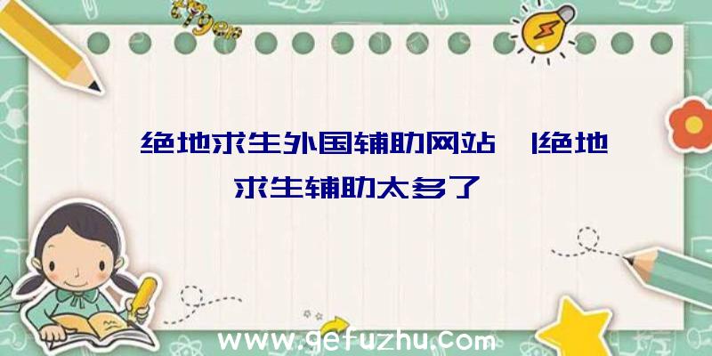 「绝地求生外国辅助网站」|绝地求生辅助太多了